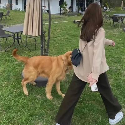 逆行的恋人