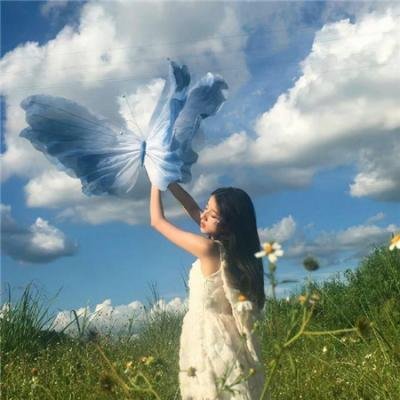 彩票追缉令